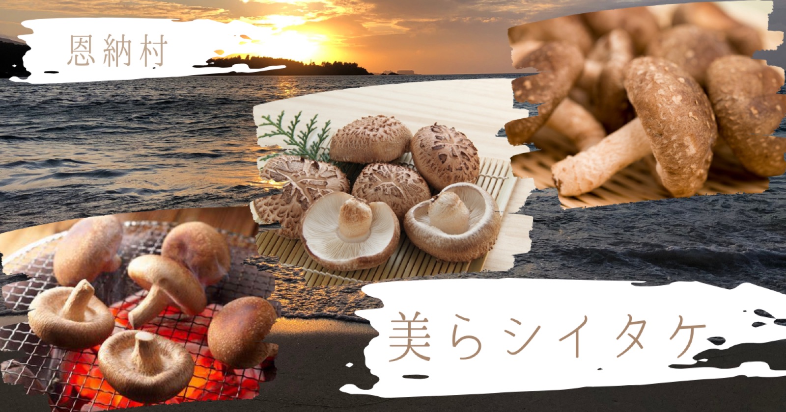 恩納村の美らシイタケ